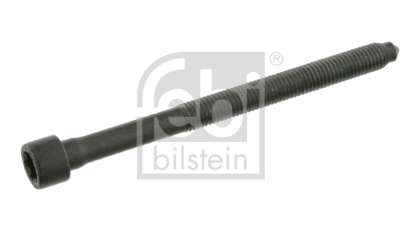 Cylinder Head Bolt